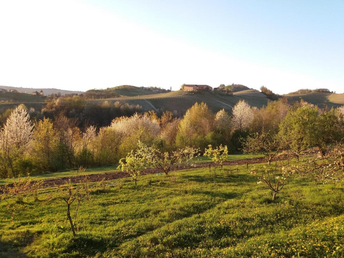 B&B Sant'Anna 21 Monforte dʼAlba Exteriör bild